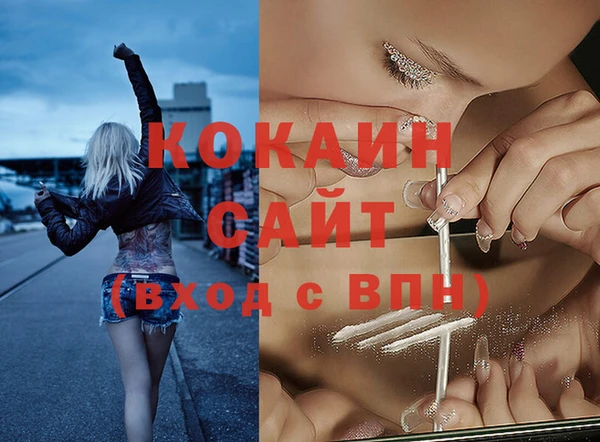 индика Алексин