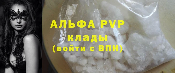 индика Алексин