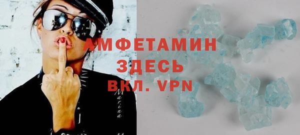 индика Алексин