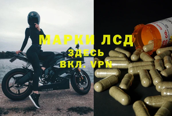 индика Алексин