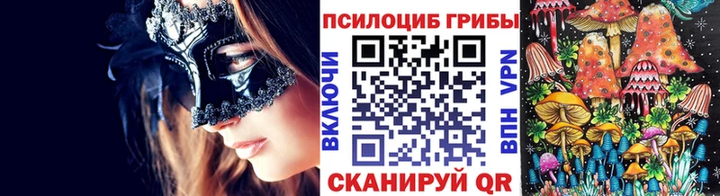 Галлюциногенные грибы Psilocybe Староминская